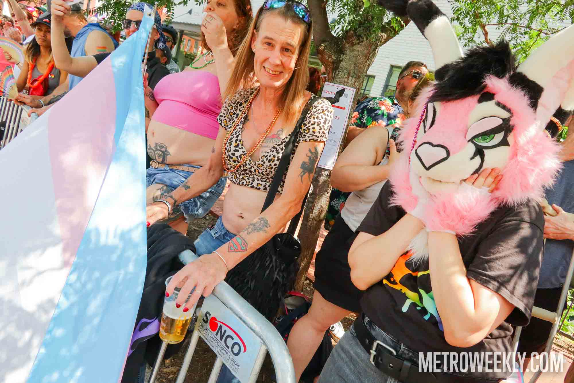 #162 of 216 : 2025-06-13_3002_177485.jpg