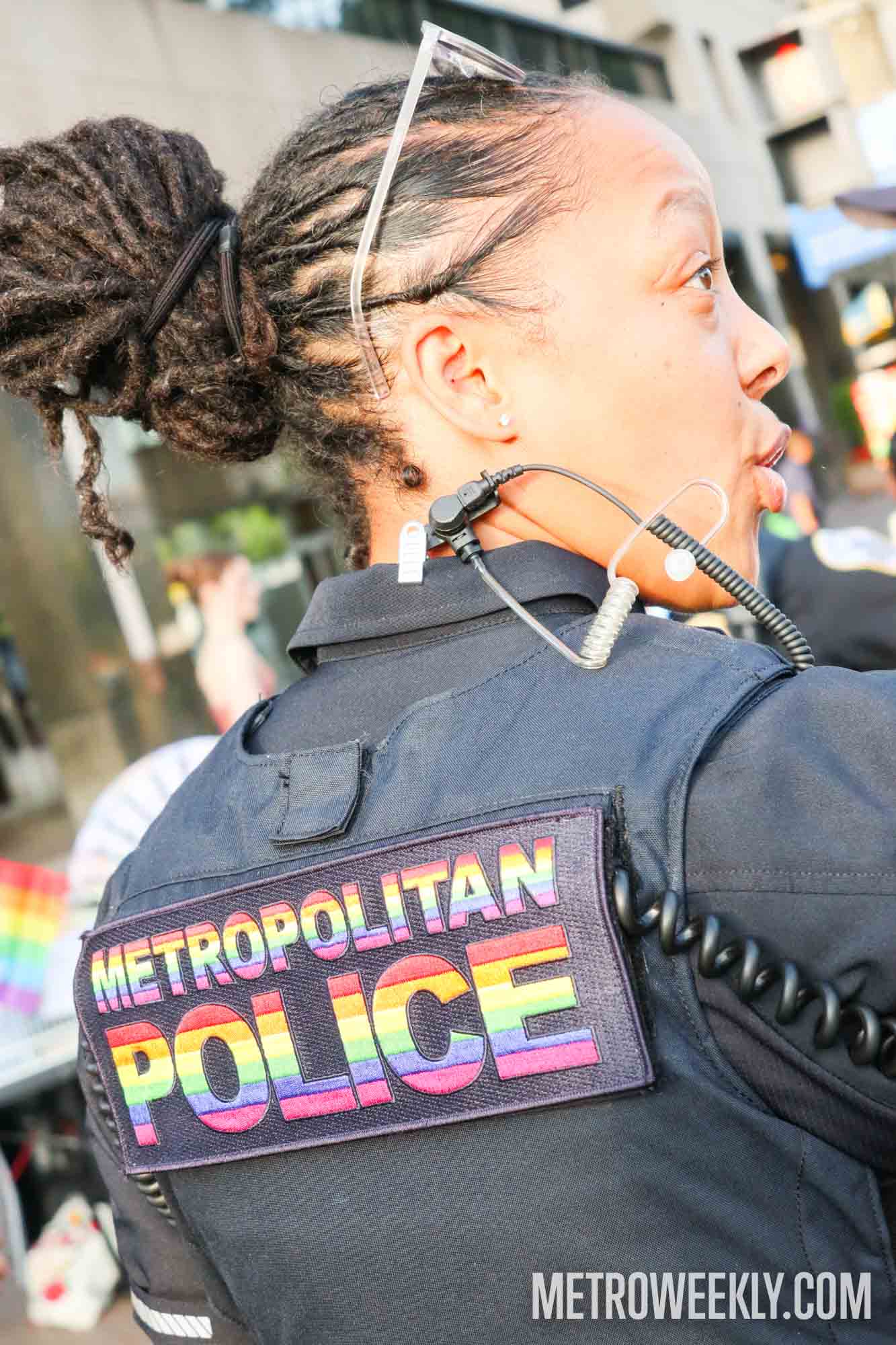 #213 of 216 : 2025-06-13_3002_177536.jpg