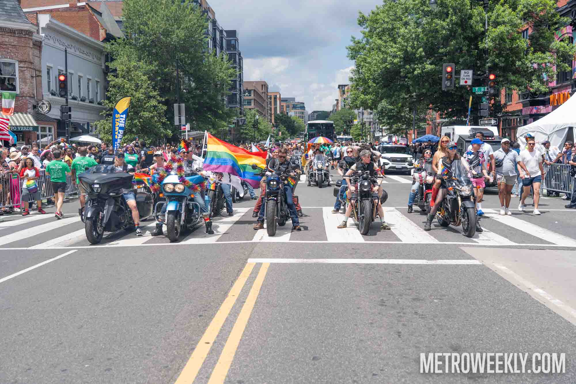 #6 of 52 : 2025-06-13_3003_177545.jpg