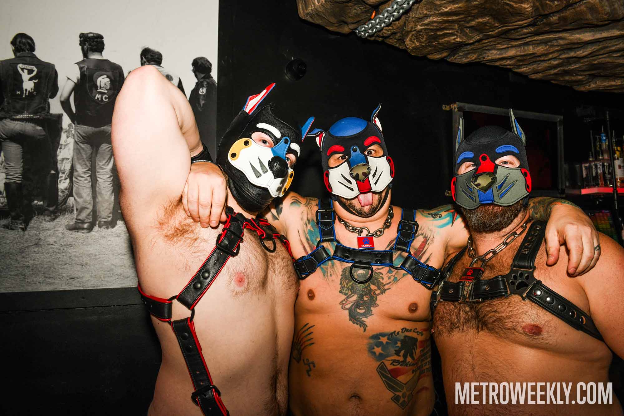 #19 of 81 : 2026-01-21_3025_179114.jpg