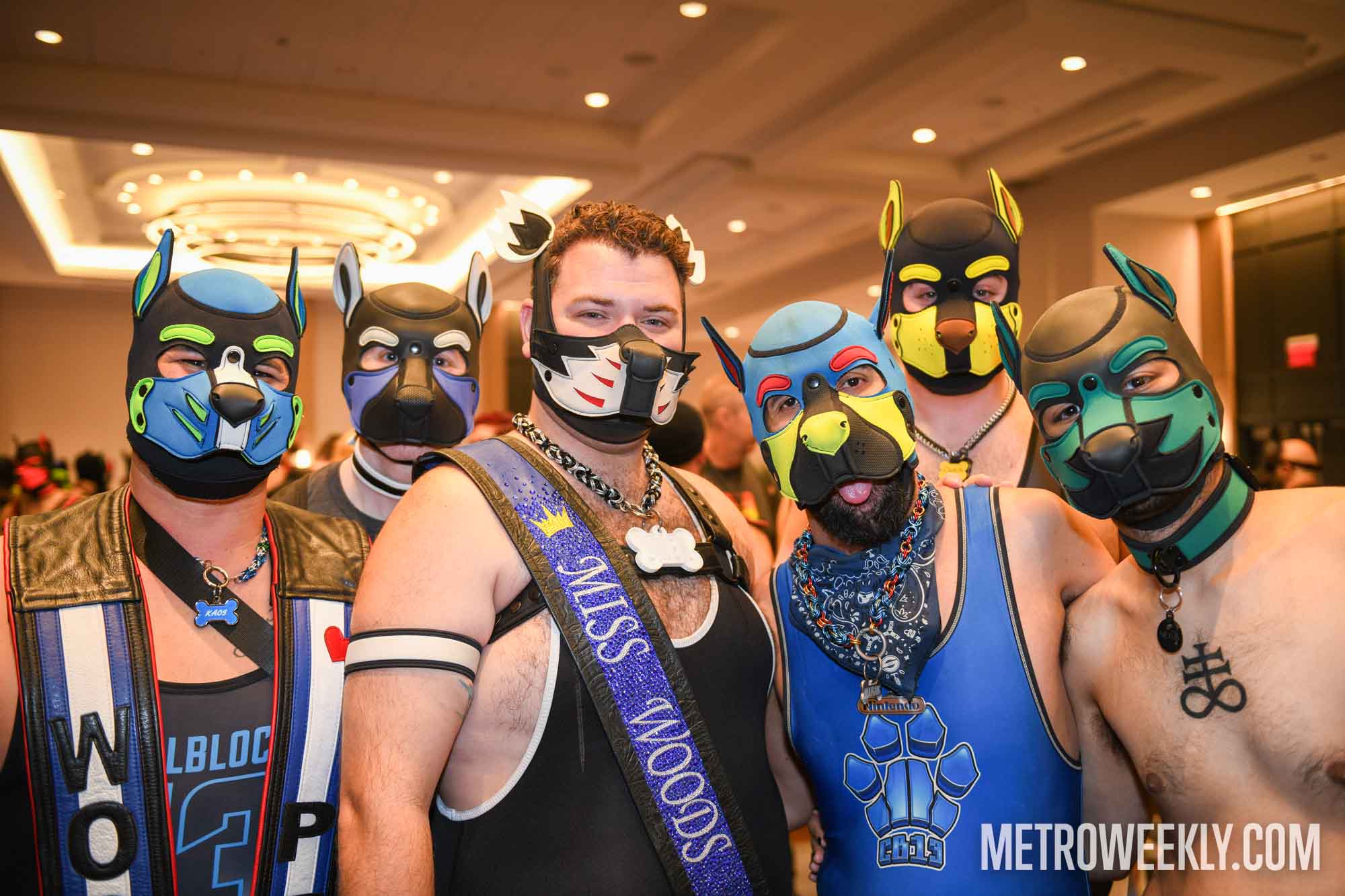 #3 of 168 : 2026-01-23_3027_179219.jpg