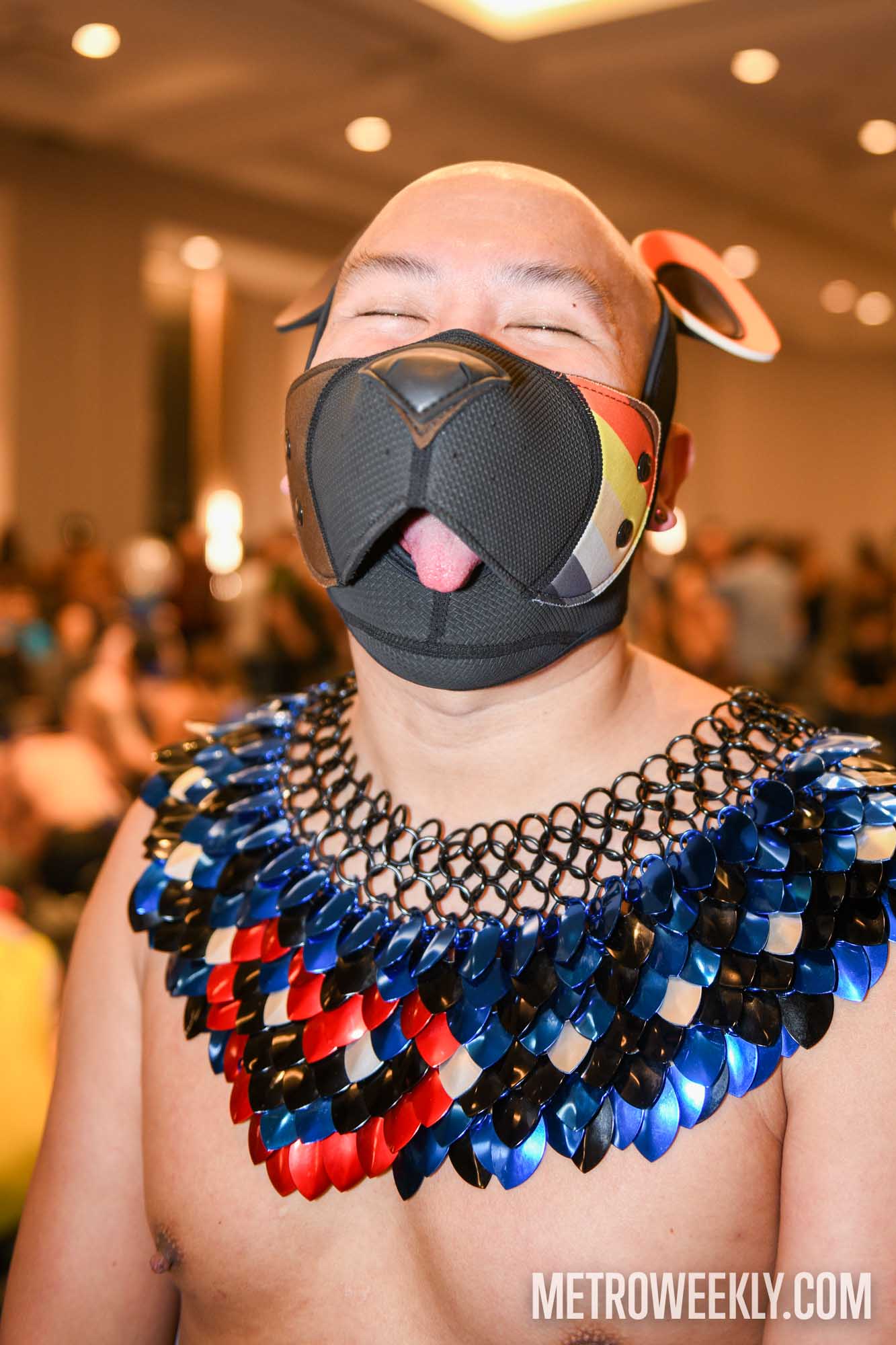 #12 of 168 : 2026-01-23_3027_179228.jpg